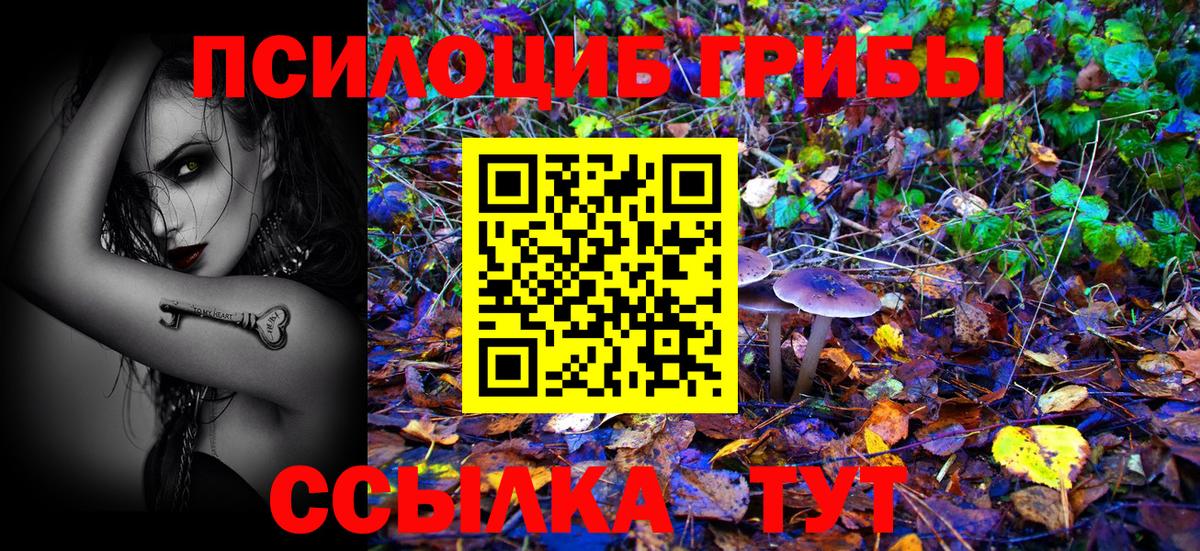 Псилоцибиновые грибы MAGIC MUSHROOMS  Вход с VPN  Анжеро-Судженск 